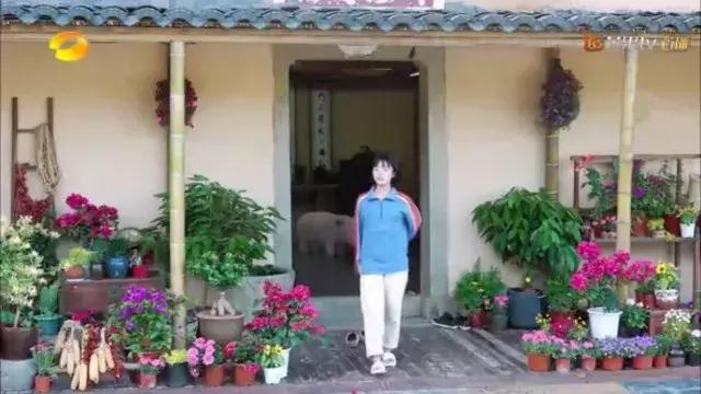 向往的生活被黄磊怼的女生,和黄磊一起参加向往的生活