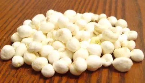 胡博士讲中药,胡博士说中医完整版