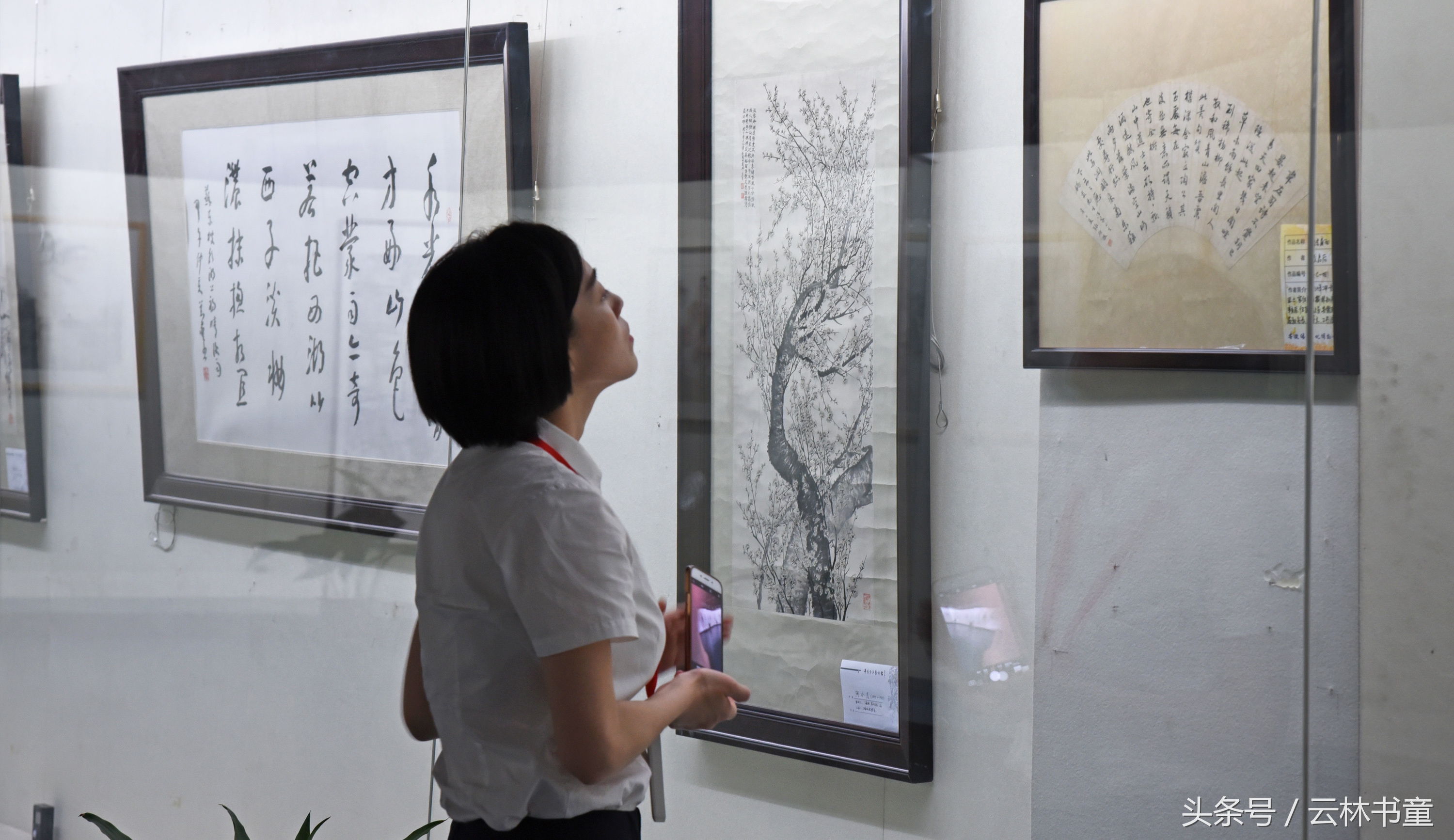 《丹青永茂│古今书画名家藏品展》在安庆中国黄梅戏博物馆展出