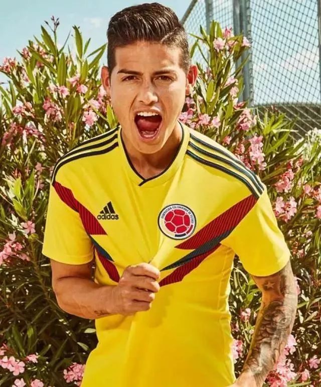 18年世界杯足球经典球衣,足球世界杯十大经典球衣