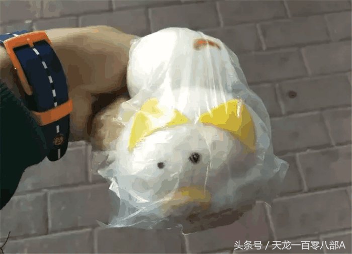 外国人为啥早餐都是牛奶麦片,外国人吃中国早餐包子