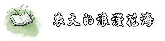 云南最好的大学是哪个大学,云南最好农校