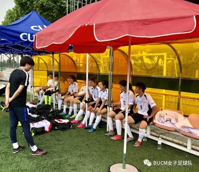 铿锵玫瑰归来小说,女足铿锵玫瑰回家