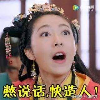 澳洲袋鼠一胎多少个子,澳洲袋鼠多了会怎么样