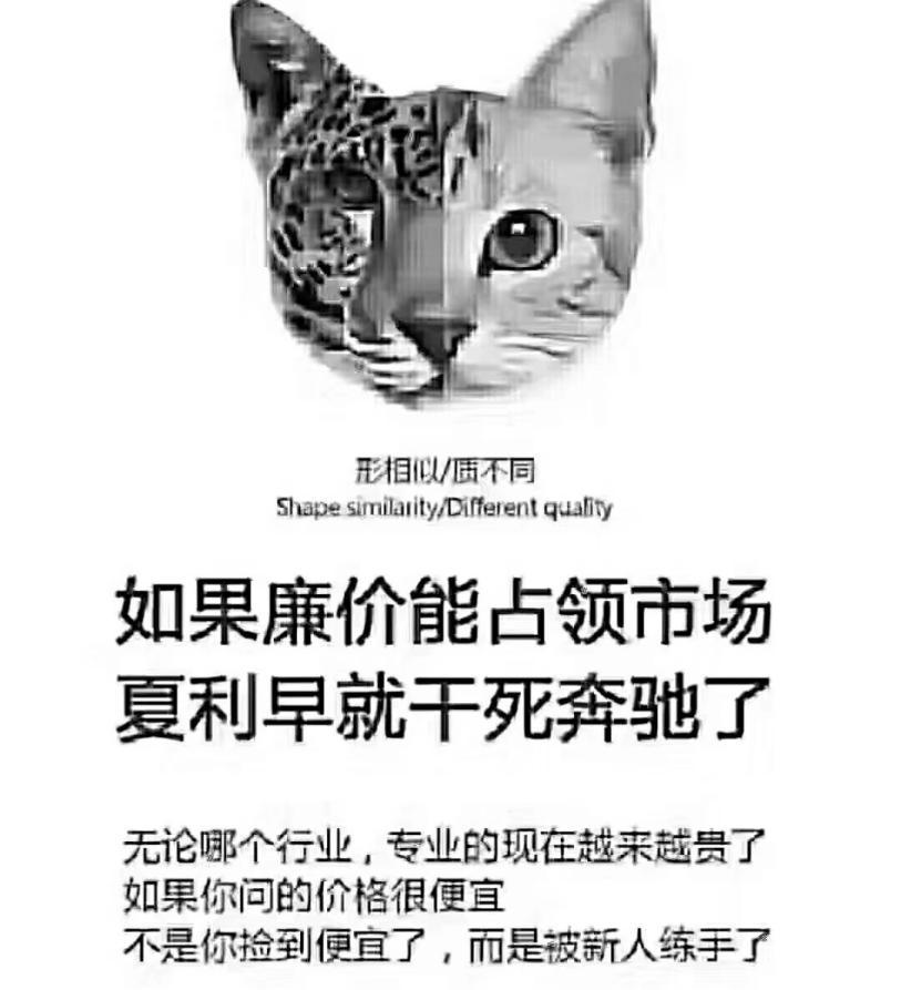 甘肃扬帆起航视频,甘肃扬帆起航视频完整版