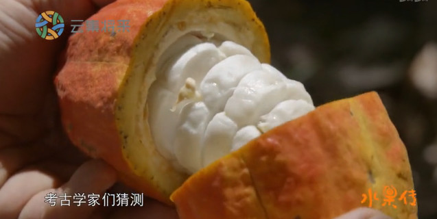 豆瓣8.9高分,豆瓣8.9评分经典