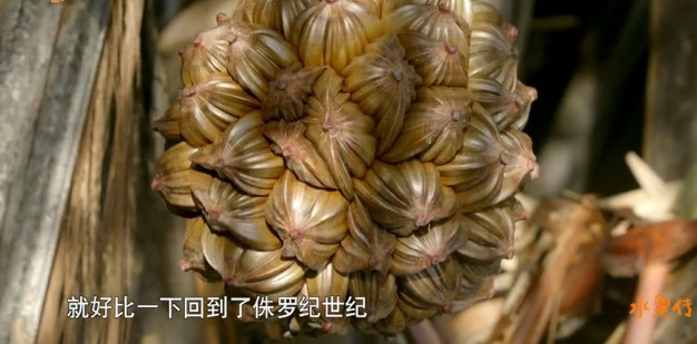 中国顶级美食纪录片,中国顶尖美食纪录片