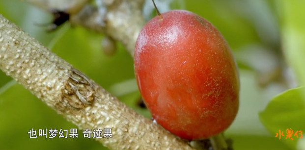 豆瓣8.9高分,豆瓣8.9评分经典