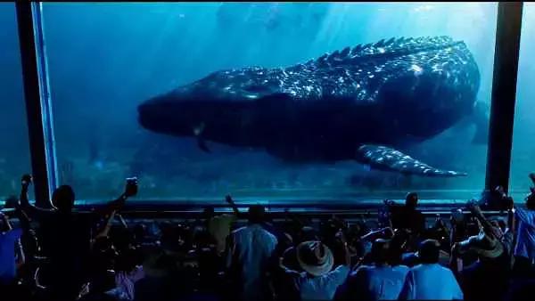 侏罗纪恐龙世界认识各种恐龙,侏罗纪系列电影里最强恐龙排名