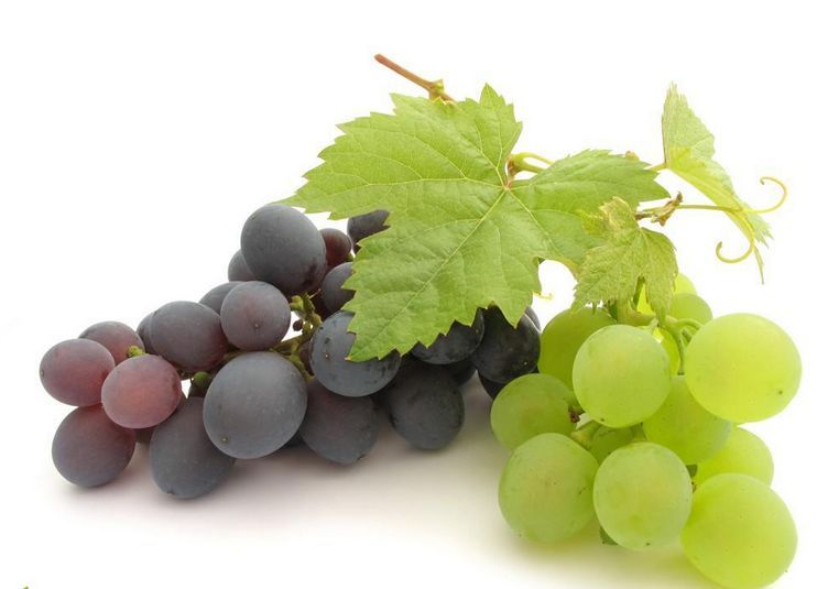 猕猴桃奇异果车厘子樱桃营养比较,猕猴桃奇异果和菠萝凤梨的区别