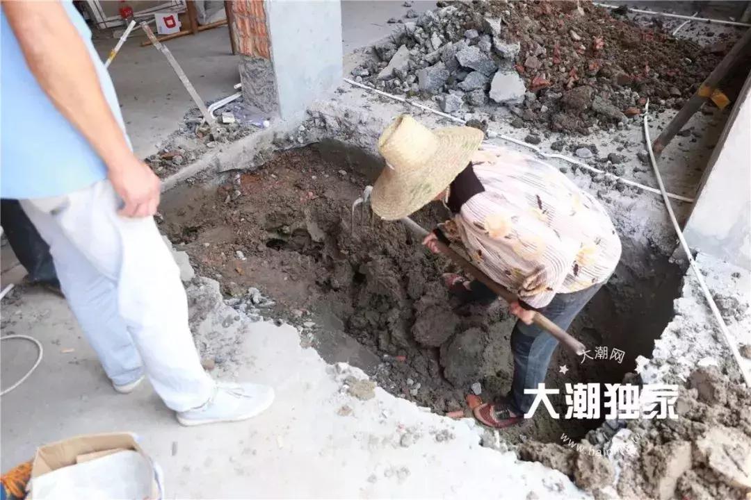 千万别大意！这户人家挖出成千上万蠕动的……房子下面还有十几个窝……