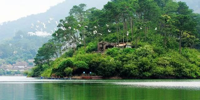 广州周边一天游玩最佳地方,广州新塘一日游景点大全