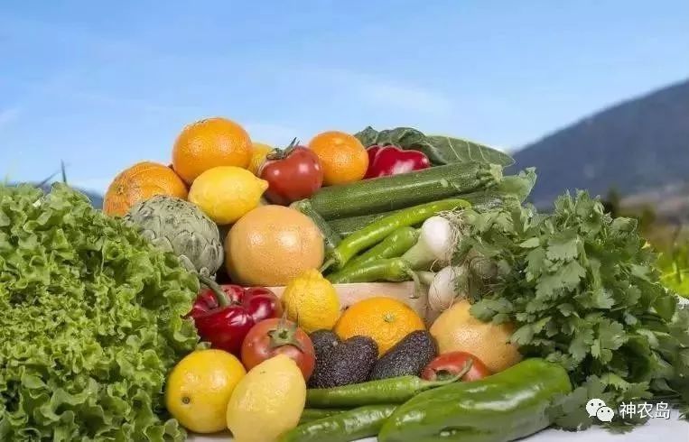 订单农业如何做好,订单农业的五个优秀案例