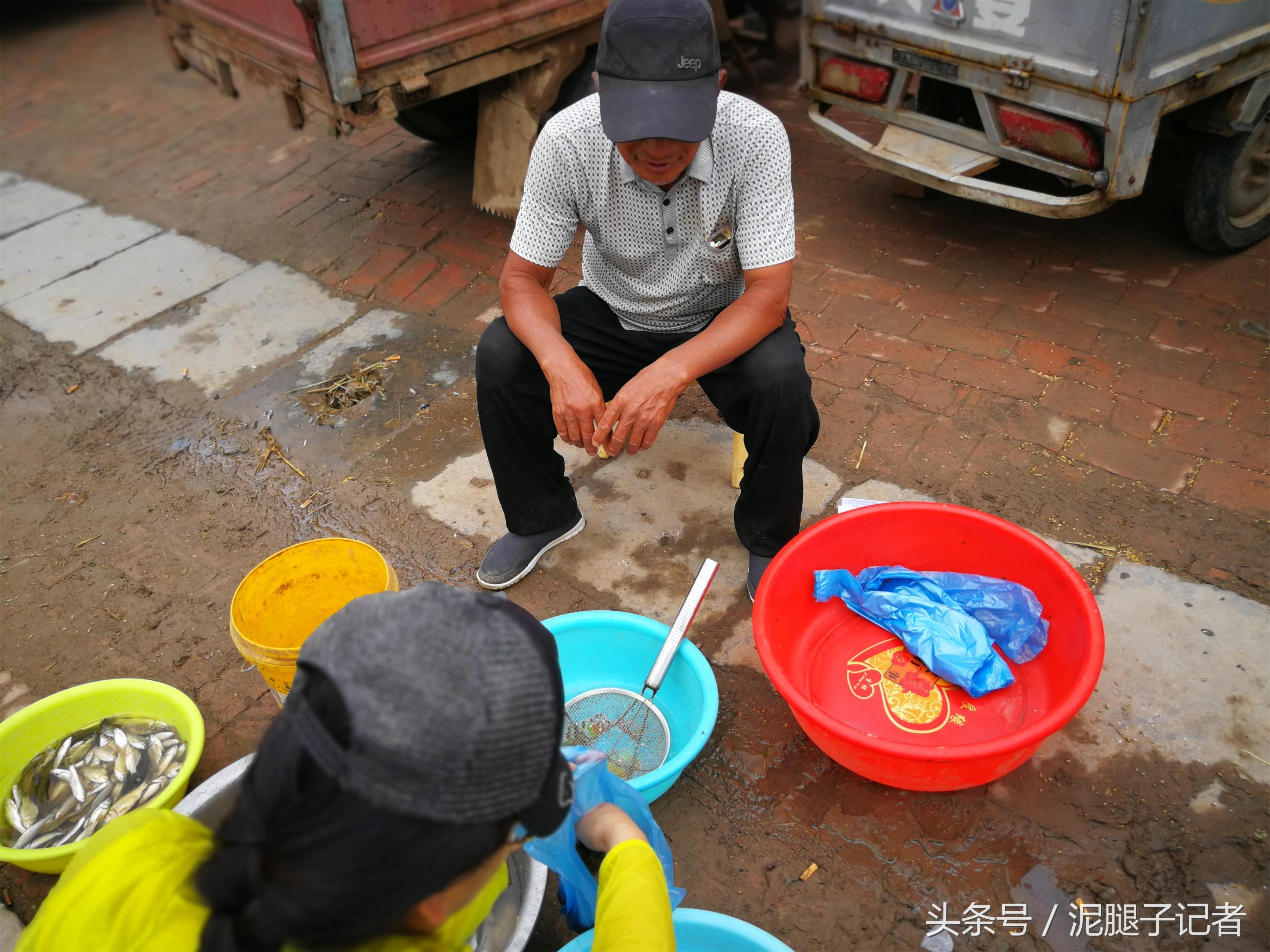 为什么现在在农村也看不见蜻蜓了,为什么现在农村没有蜻蜓了