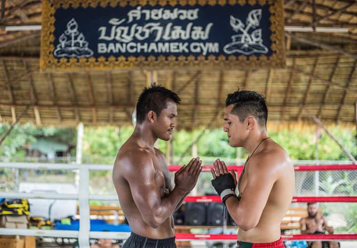 冠军有一个亚军有几个,冠军只有一个标吗