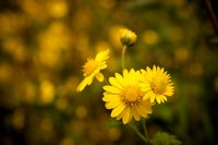 相爱简单相处难下一句,怎么让相爱的人感情越深