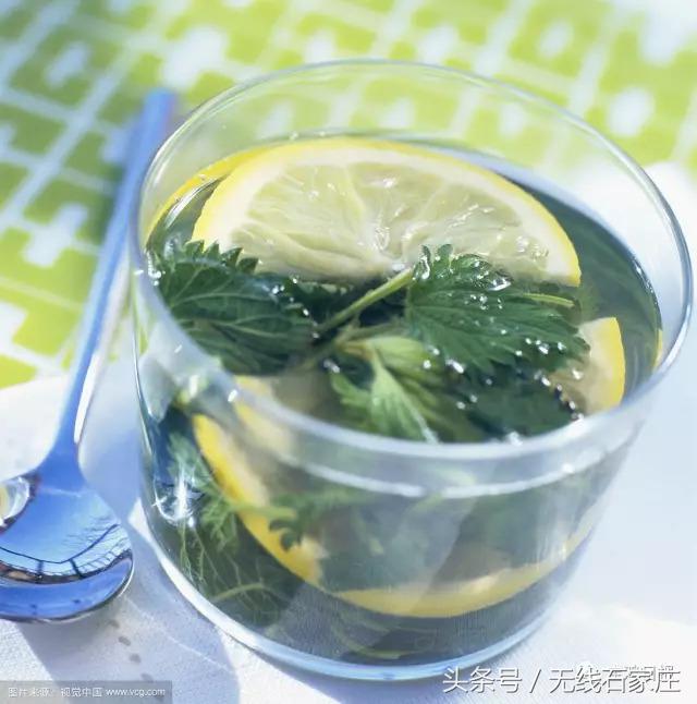 预防中暑的几种降温饮品,防中暑的十大饮品