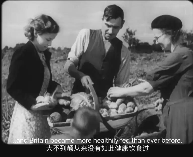 人类未来都不用吃肉吗,素食主义会取代肉食吗