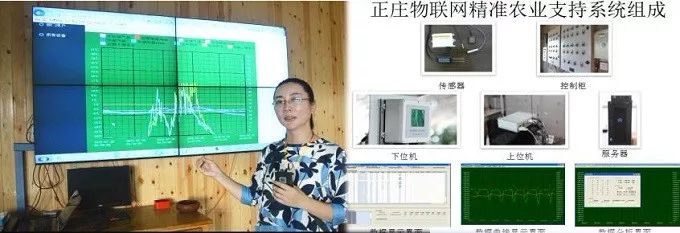 总有一款适合你春耕备耕进行中,现代农业案例分享