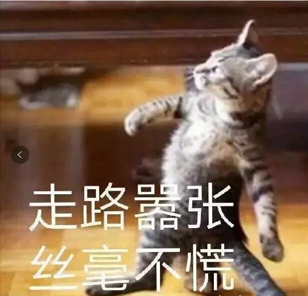 现在最火的国内女装品牌有哪些,中国最受欢迎的十大品牌女装