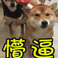 有没有快速做gif图的方法,有了这些神器作业一秒写完不是梦