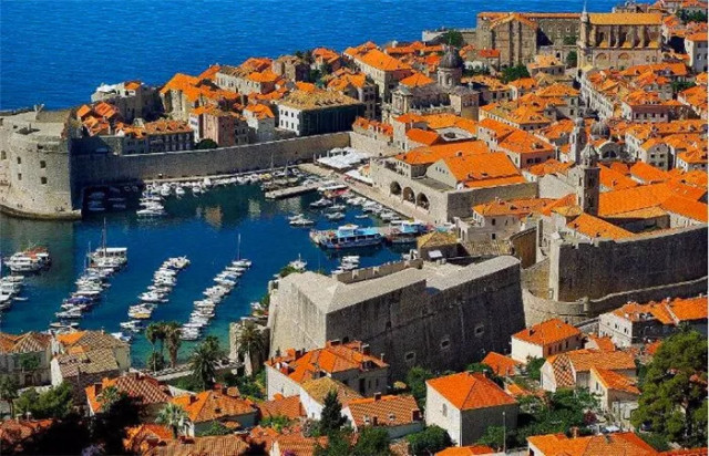 世界杯决赛潘帕斯雄鹰高卢,格子军团vs潘帕斯雄鹰复仇之刃