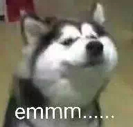 世界杯竞猜暂停了,世界杯竞猜停售