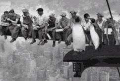 世界杯竞猜为什么停售了,世界杯足球竞猜停售