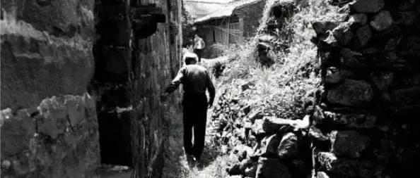 年少不懂酒干倘卖无,酒干倘卖无人生若只如初见