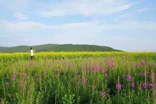 南昌到内蒙古旅游要多少钱 (江西坐火车去内蒙古沿途攻略)