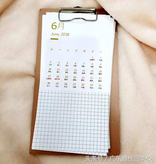 欧洲“传骑”开箱记！