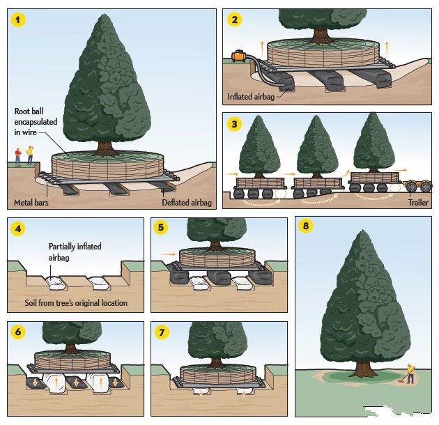 提高英语词汇量的app,高考英语怎么提高单词量