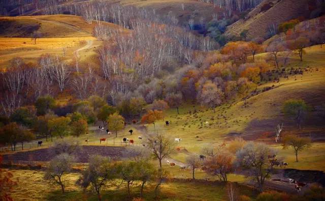 北京至内蒙古旅游坐什么火车,北京去内蒙古高铁旅游线路