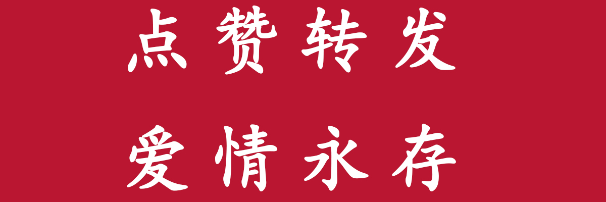 普联ac1200路由器2.4g网速慢,tp-link网速慢如何设置路由器