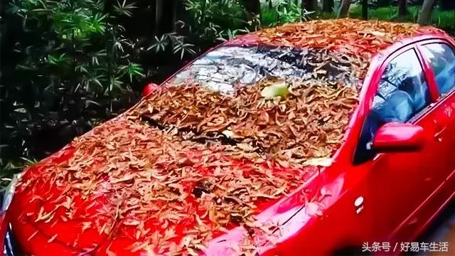 烈日下被暴晒,烈日暴晒车