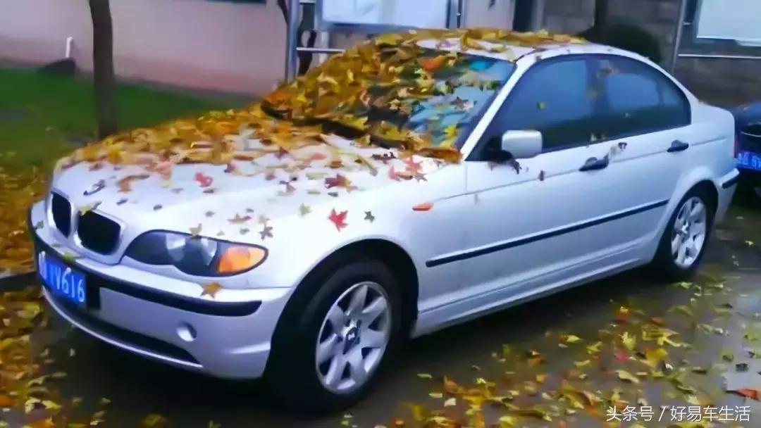 烈日下被暴晒,烈日暴晒车