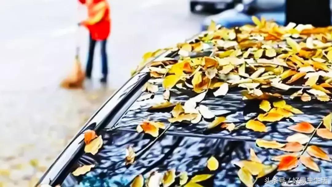 烈日下被暴晒,烈日暴晒车