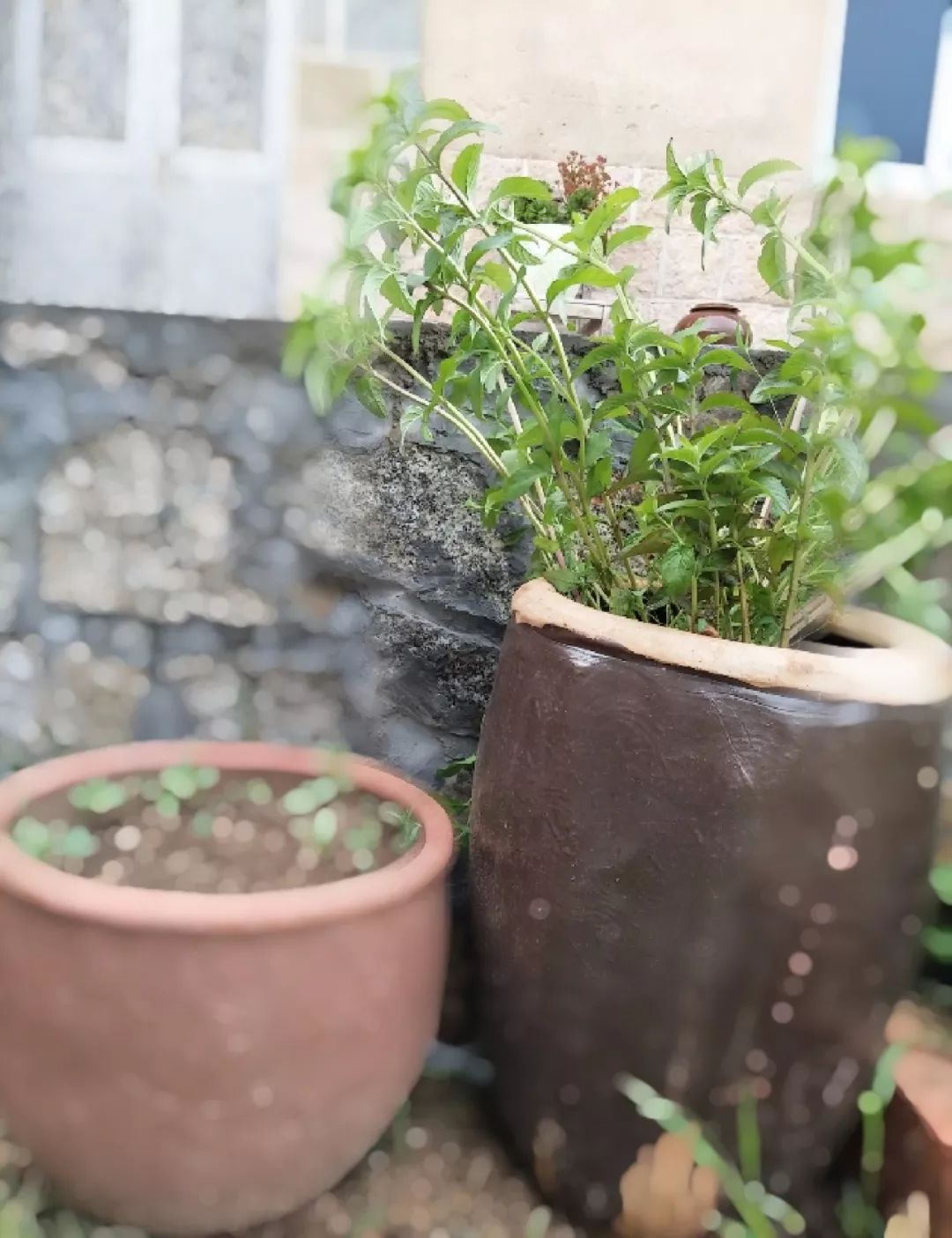 家里摆放凌乱废旧物品,家里的这些旧物别急着扔