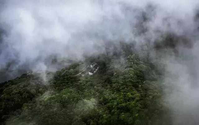博罗这些清凉的漂流胜地！让你秒切“空调模式”~约起！