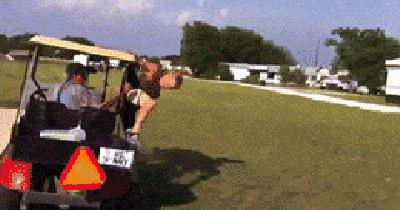 狗gif爆笑动图,搞笑gif图别忘了你是一只狗啊