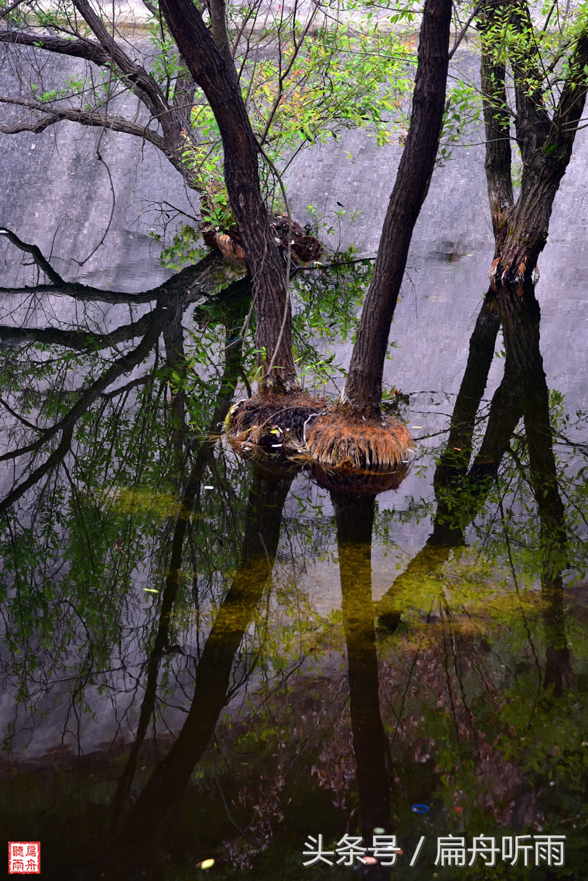 洛阳神灵寨住宿,洛阳神灵寨旅游预约时间