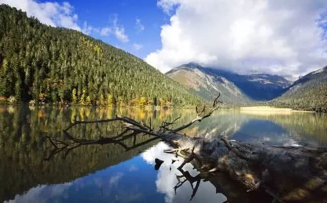川西哪里的森林草甸好看,川西森林湖泊溪流草甸