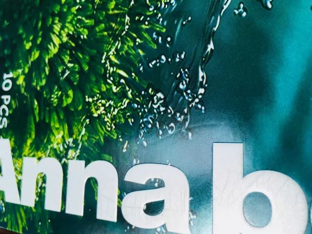 雅诗兰黛密集修护面膜和sk2面膜,雅诗兰黛专柜面膜