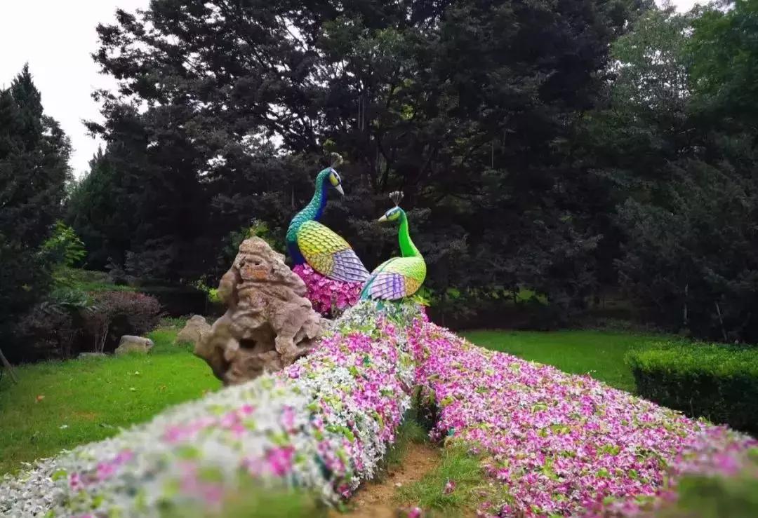 这份群祝福编得太好了吧！快送给群友们乐一乐！