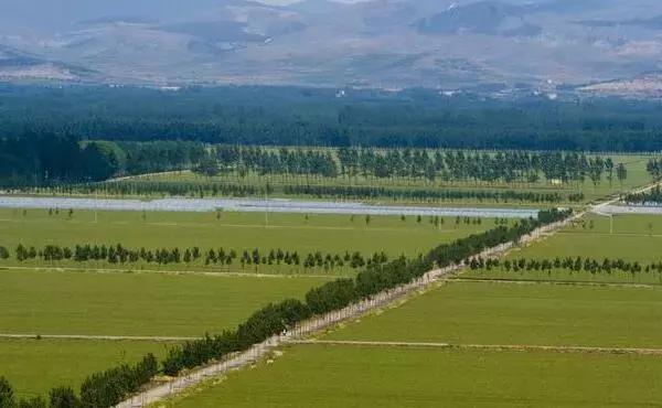 我的土地被征用了该怎么赔偿,我的土地被收回无地农民怎么办