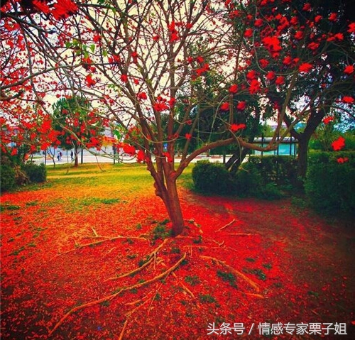 你们这些女人那,发了花痴就治不好