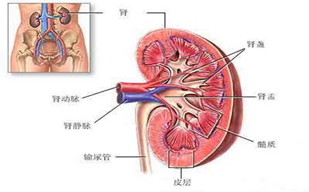 女子半夜十二点感觉腿上奇痒,女子睡觉半夜全身瘙痒