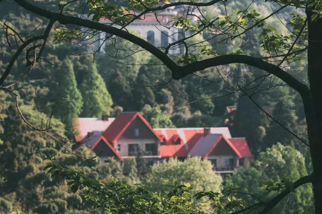 蓝宝书好吗,浙江民宿经营现状