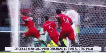 世界杯决赛前后的谣言,世界杯谣言真假