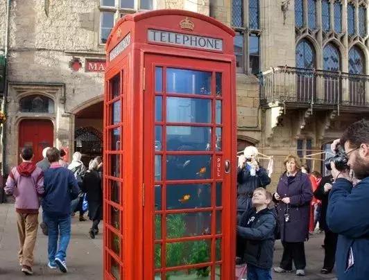 酷萌可爱插画,呆萌可爱的插画